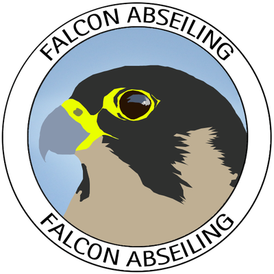 Falcon Abseiling - Red-tailed Hawk (400x400)