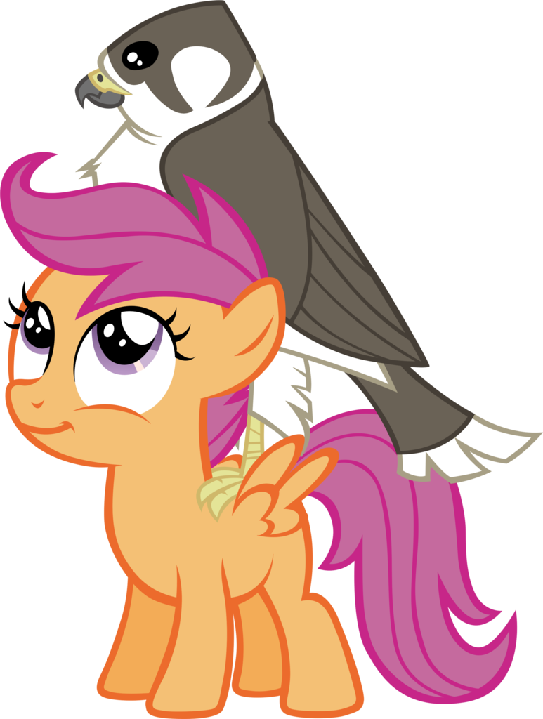 Astringe, Bird, Falcon, Female, Filly, Pegasus, Peregrine - Photography (2615x3464)