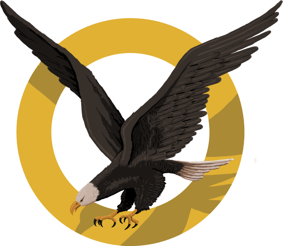 Ensign Of The 41º Stormo B - Bald Eagle (1177x1024)