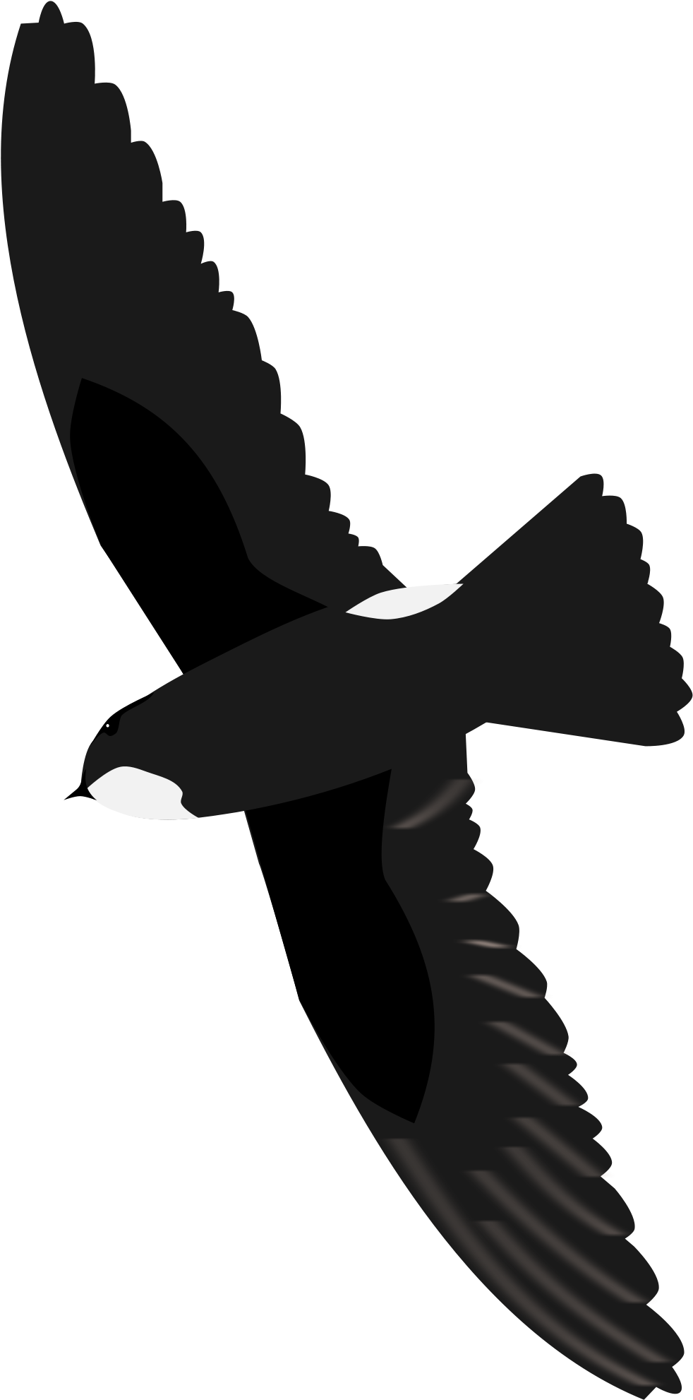 Open - Buzzard (1000x2000)