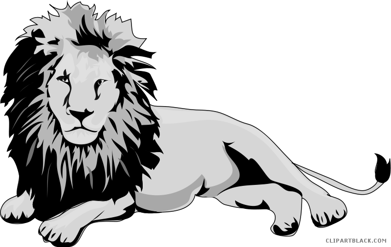 Lion Animal Free Black White Clipart Images Clipartblack - Clipart Lion Transparent Backround (800x505)
