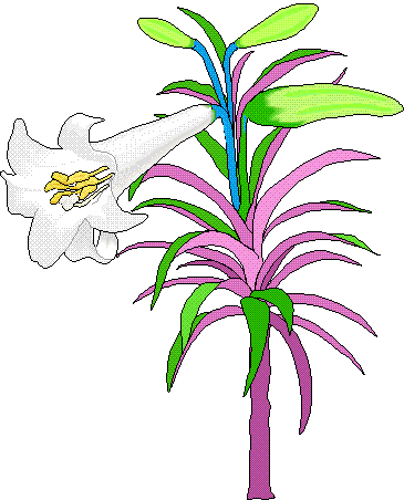 The Easter Letter Of Paul The Apostle To All The People - The Easter Letter Of Paul The Apostle To All The People (365x452)