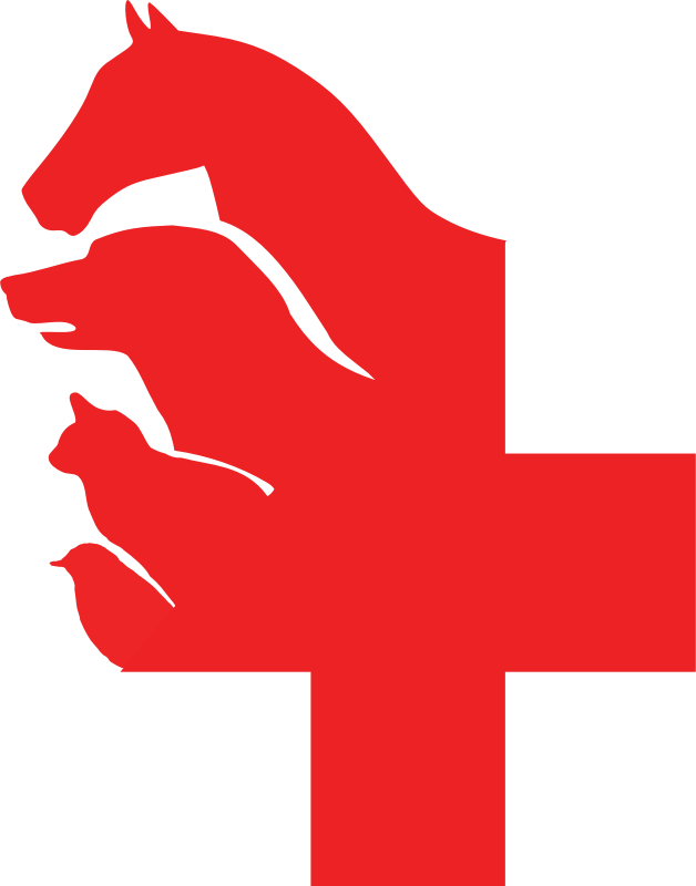 In Microsoft Office Dean Routechoice Co Rh Dean Routechoice - Symbol (628x800)