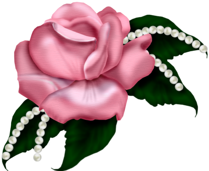 Find This Pin And More On Clipart Rose Garden Mix By - Haben Sie Einer Die Rote Rosen-blüte Schöner Karte (700x573)