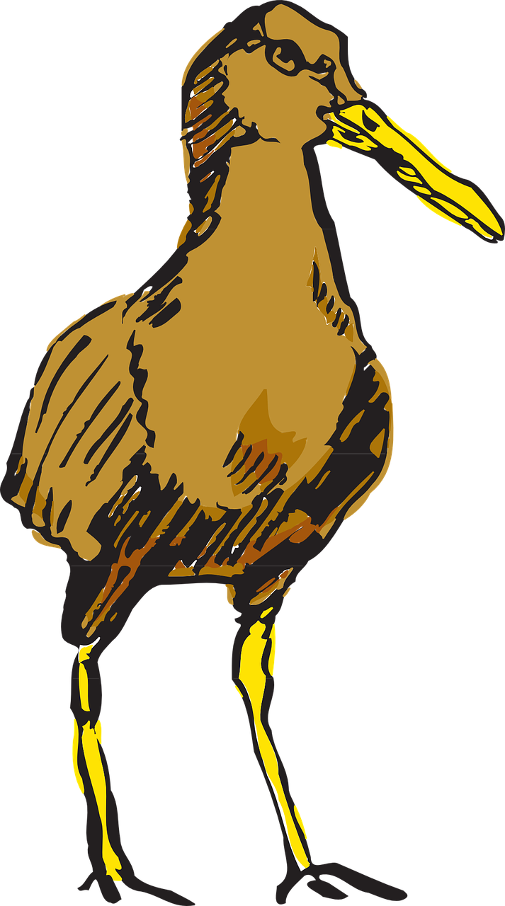 Brown Bird Wings Standing Png Image - Bird (713x1280)