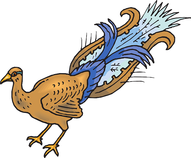 Bird, Wings, Art, Peacock, Animal, Tail, Plucked, Pluck - Peafowl (640x529)