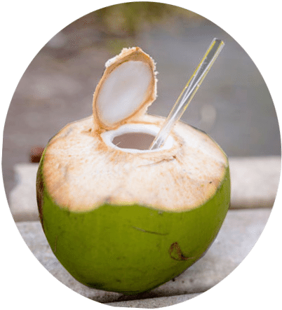 Free Green Coconut Png - Coconut Water With Straw (408x451)