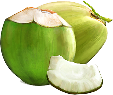 Tender Coconut - Green Coconut Fruit Png (400x400)