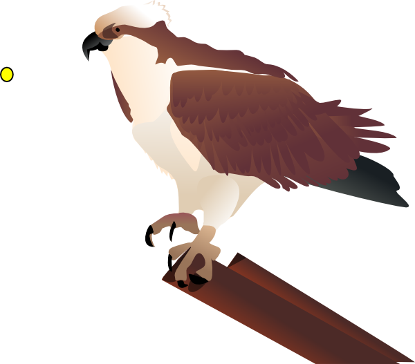 Bird Clipart - Osprey Clipart (600x527)