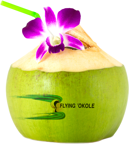 Business Consulting - Coconut Drink Flower (500x500)