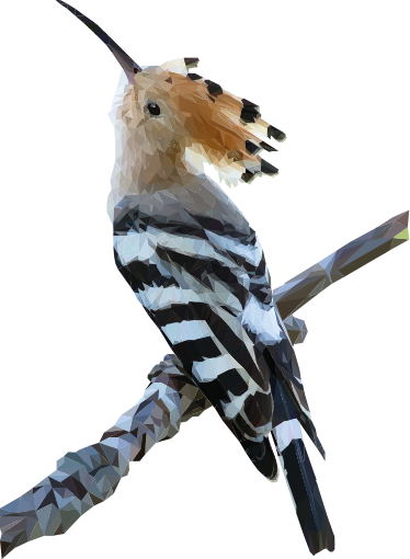 Polygonal Carpenter Bird Sticker - Beautiful Hoopoe Bird Hd (374x510)