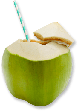 Thailand Fresh Fruits Exporter, Thai Tropical Fruits, - Fruit (286x425)