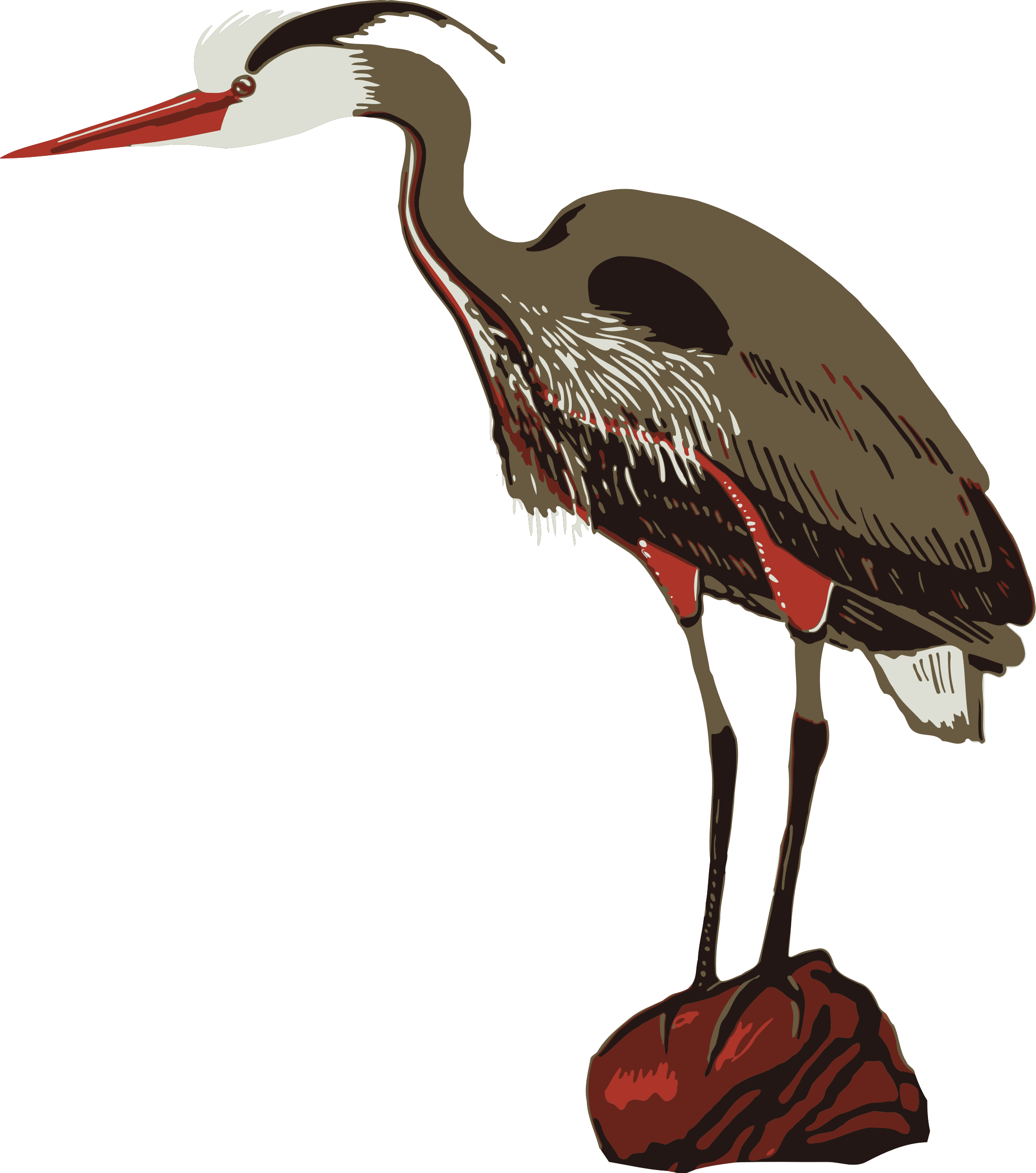 Bird 9 - Zoo Clip Art (2120x2400)