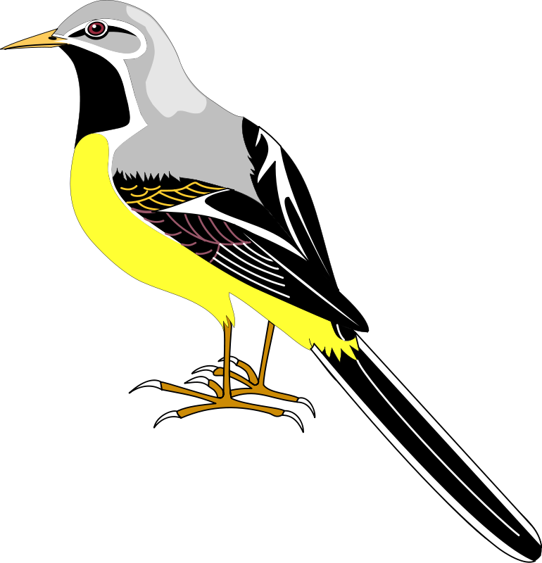 Free Vector Bird - Transparent Mockingbird Clipart (866x900)