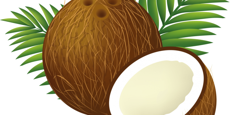 Are Coconut Products Bad For The Environment - Coconut Clipart Transparent (800x400)