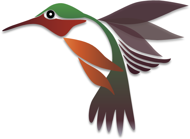 Birds Illustrations Art & Islamic Graphics - Illustration (616x451)