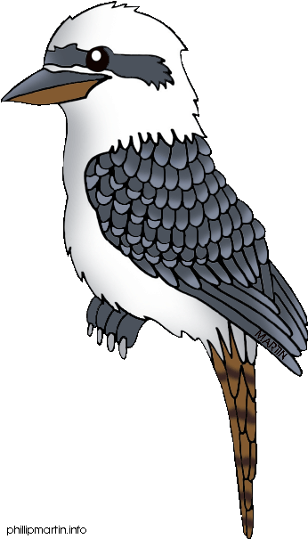 Bird Clipart Kookaburra - Kookaburra Clipart (371x648)