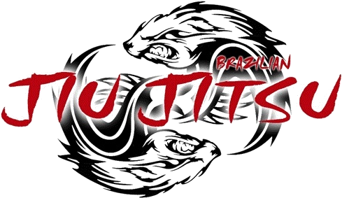 We Also Offer Brazilian Jiu Jitsu Classes, It Is A - Brazilian Jiu-jitsu (512x306)
