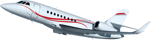 Fruit3 - Indian Flight Png (500x245)