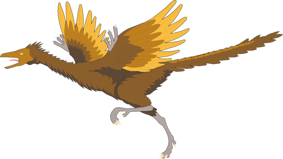 Bird, Running, Wings, Ancient, Archaeopteryx, Feathers - Archaeopteryx Png (960x539)