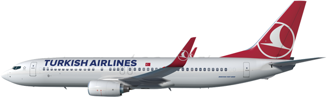 Turkish Airlines Logo Png - Boeing 737 Next Generation (1000x445)