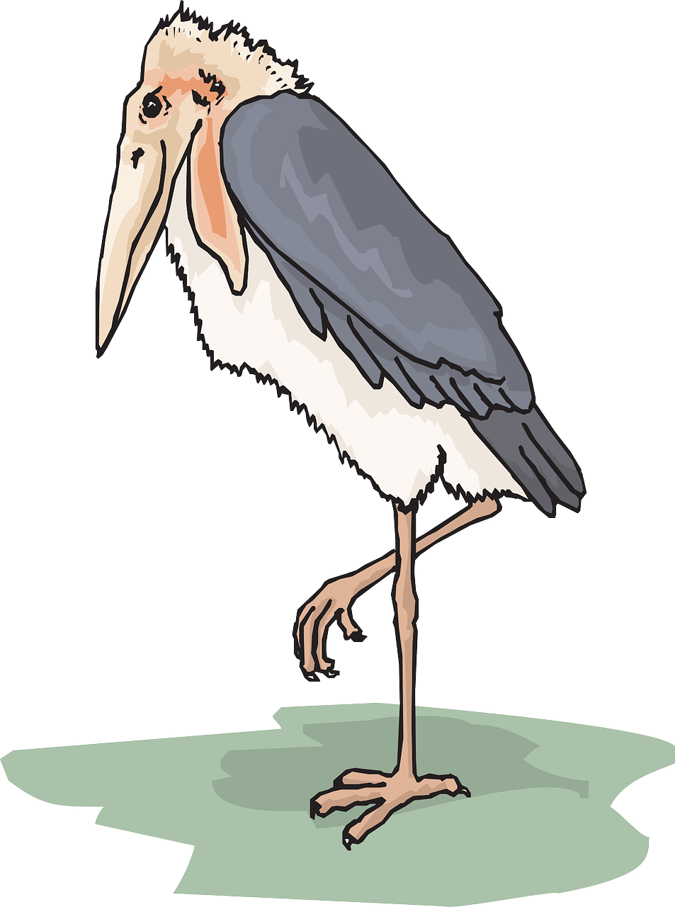 Bird Wings Stork Feathers Png Image - Marabou Stork Clipart (953x1280)