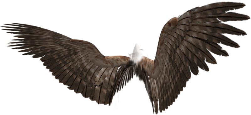 The Wings Of A Demon By Alexlexs - Wings Of An Demon (1024x636)