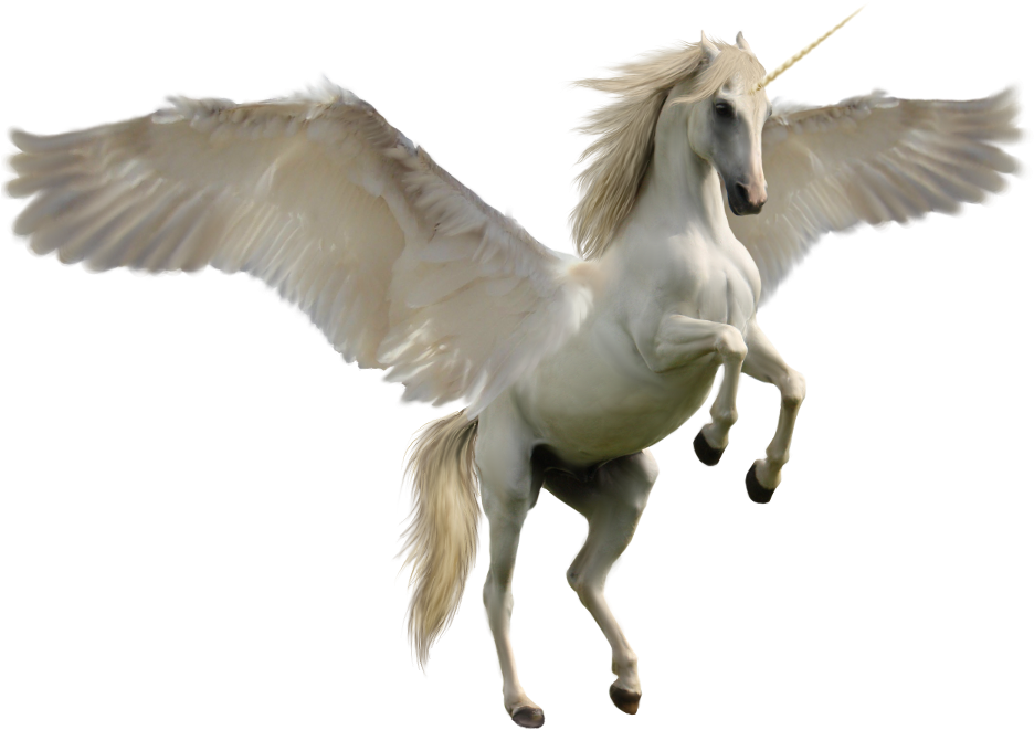 Winged Unicorn By Discoverie - Real Unicorn Png (1000x700)