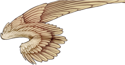 Golden Eagle (640x500)