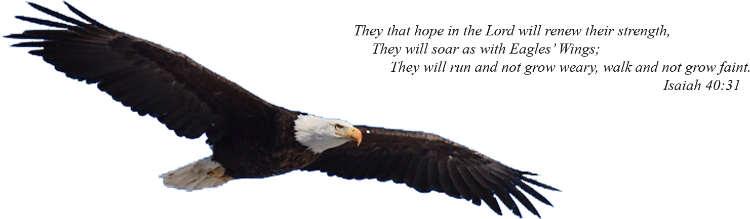 Eaglelogo - Eagles Wings (1540x460)