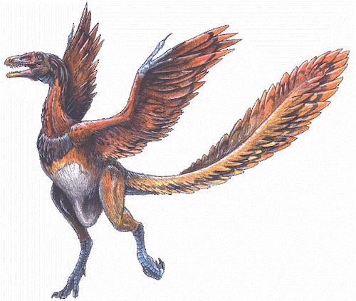 Red Wings Gif - Dinosaur With Feathers And Wings (500x422)