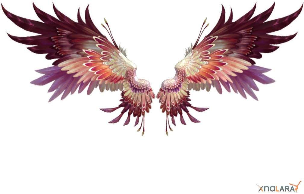 Pink By Tiffli - Perfect World (1024x716)