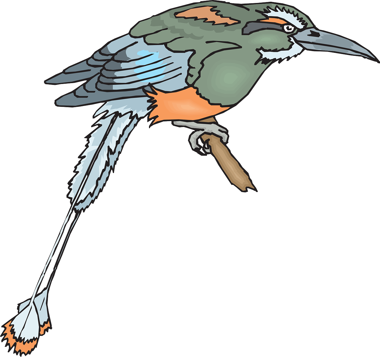 Bird Branch Wings Beak Feathers Png Image - Bird (1280x1203)