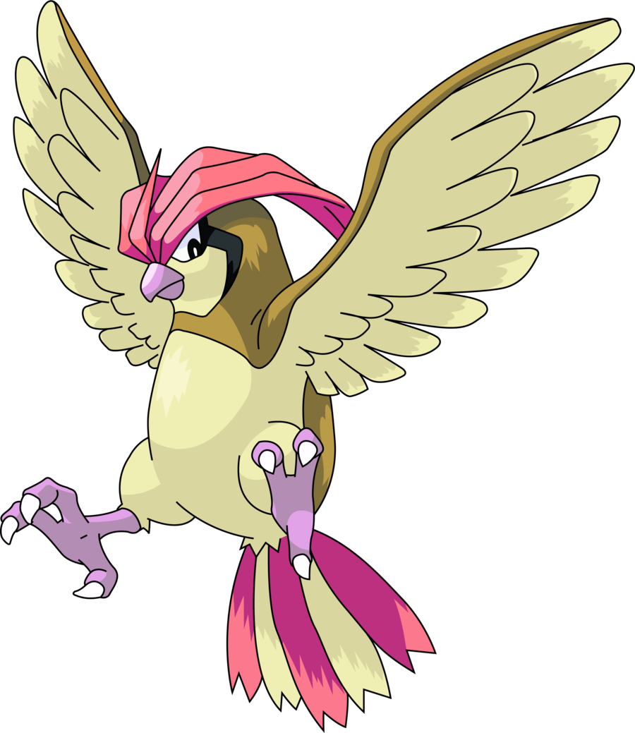 Pidgeotto By Inkomingvirus - Pokemon Pidgeotto (900x1039)