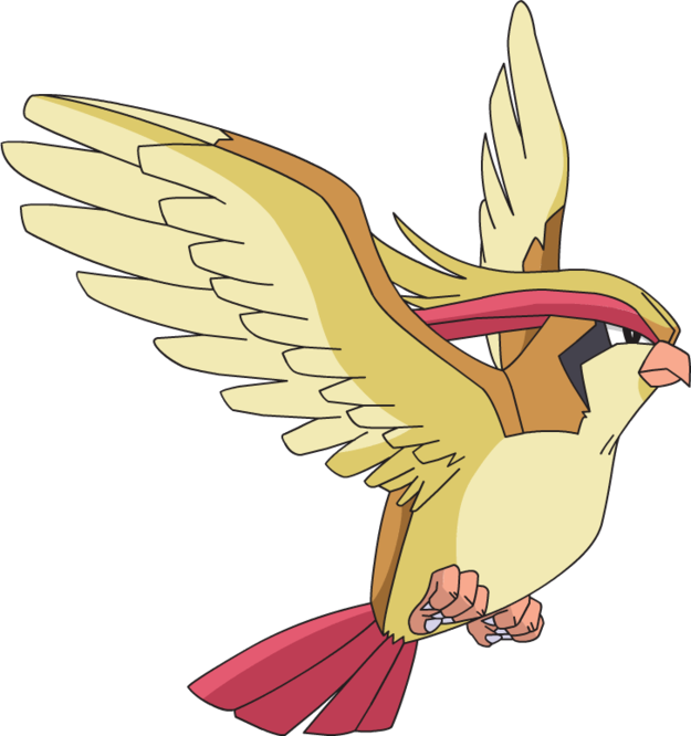 Pidgeot - Pokemon Bird (625x666)