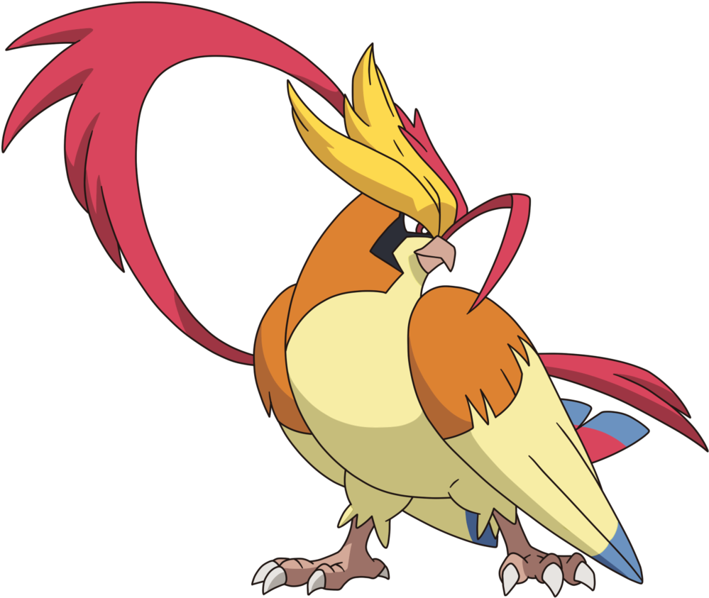 018-mega Pidgeot By Tzblacktd - Pidgeot (1024x889)