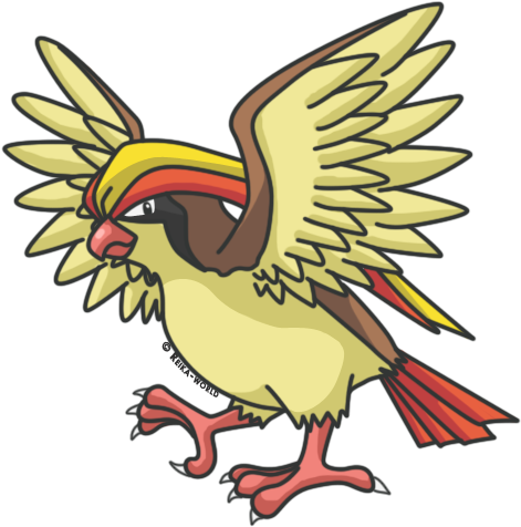 Pidgeot (495x500)