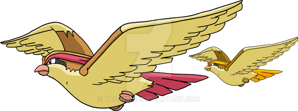 Pidgeot By Tails19950 - Pidgeot Png (1024x382)