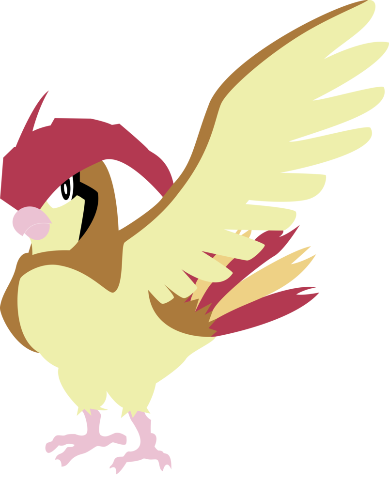 Pidgeotto Vector By Chelagirl On Deviantart - Pidgeotto (803x995)