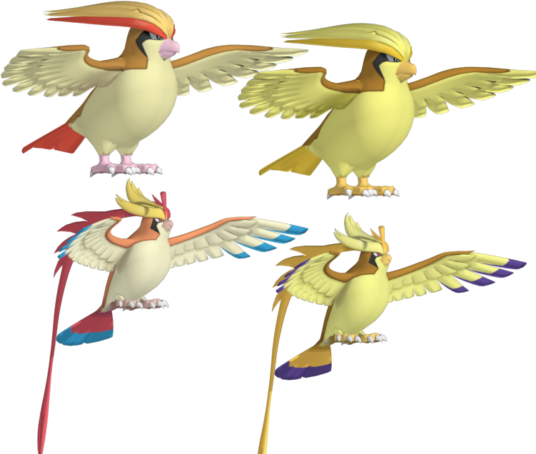 Download Zip Archive - Mega Pidgeot X And Y (750x650)