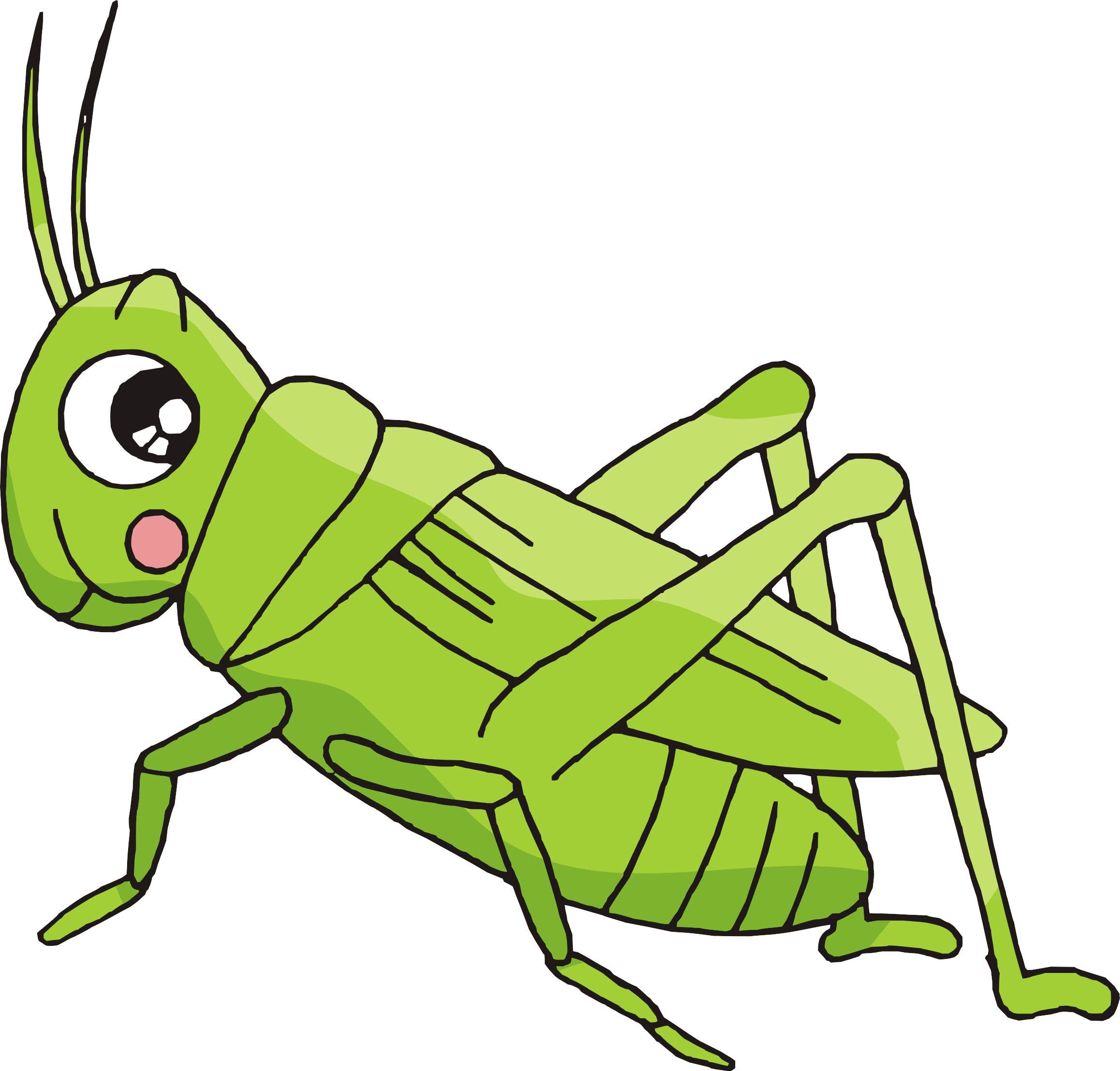 Cartoon Bush Crickets Insect - Crickets Cartoon.