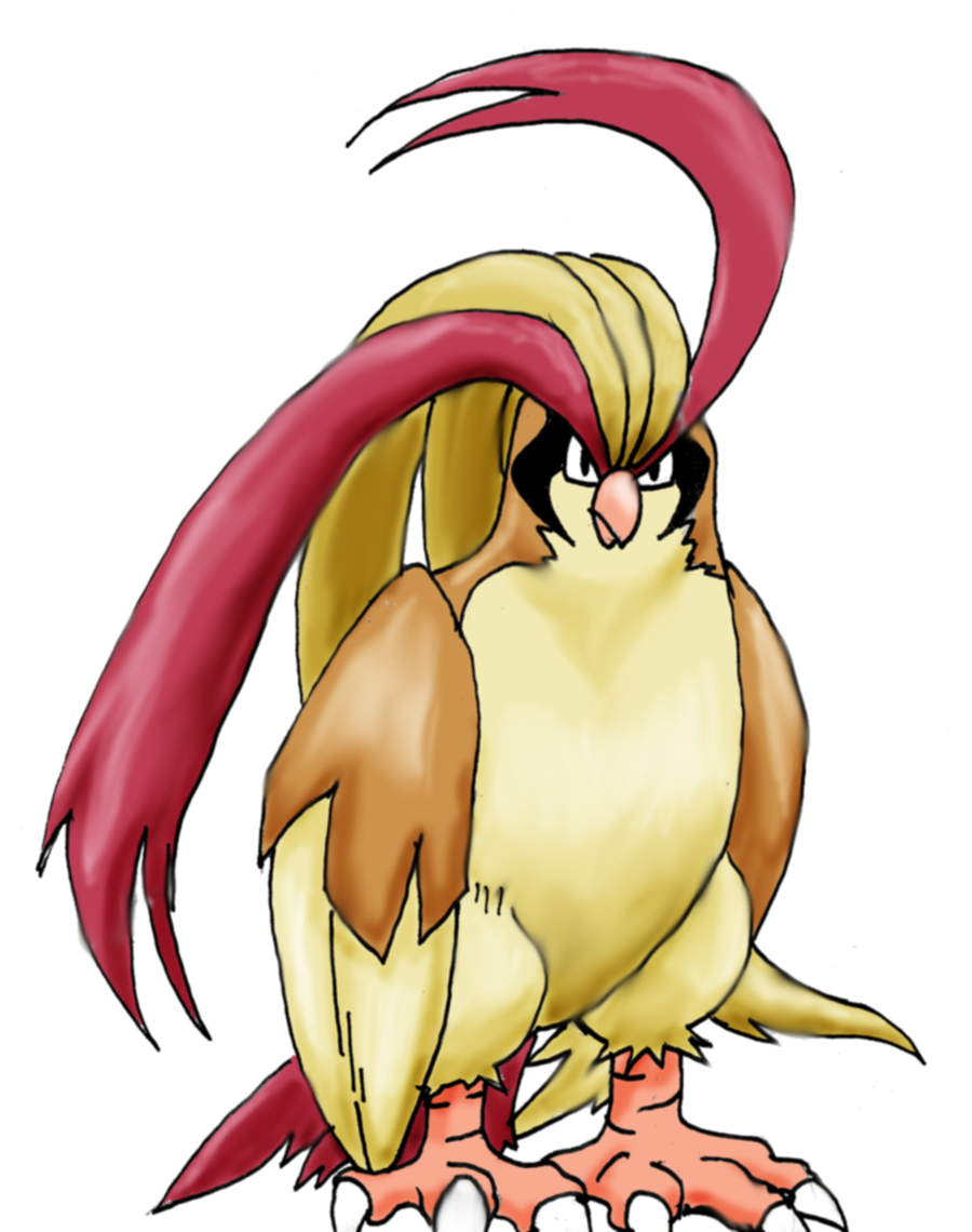 Ho Oh The Pidgeot By Apricots From Nara - Cartoon (900x1140)