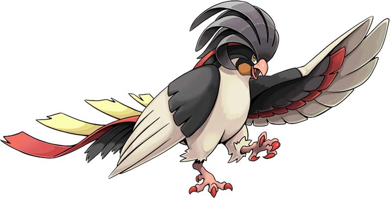 1 Yorum - Do Pokemon Pidgeot (800x406)