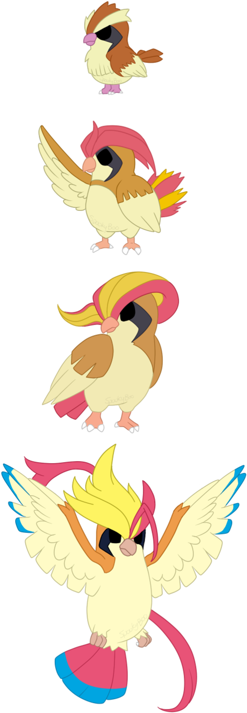 Pidgy, Pidgeotto, Mega/pidgeot By X Spookyboo X - Pidgeot (530x1505)
