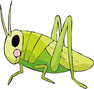 Insect Drawing Cricket Locust - Cricket Insect Drawing (518x561)