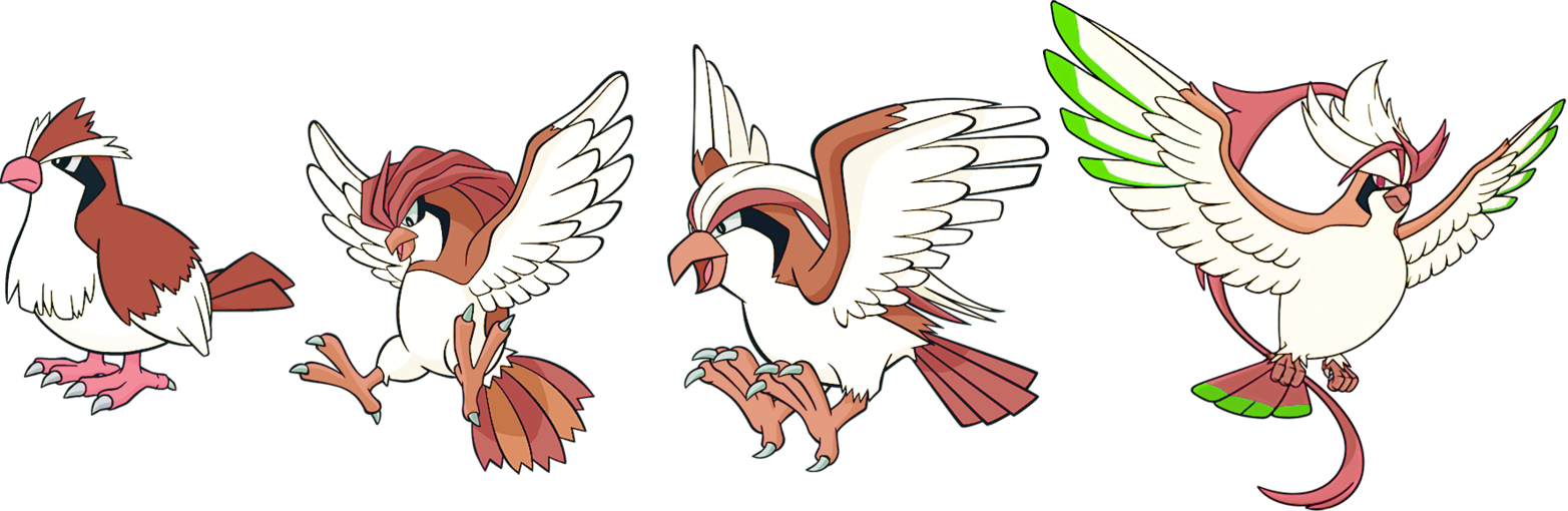 Pidgey, Pidgeotto, Pidgeot By High Jump - Pidgeot (1565x510)
