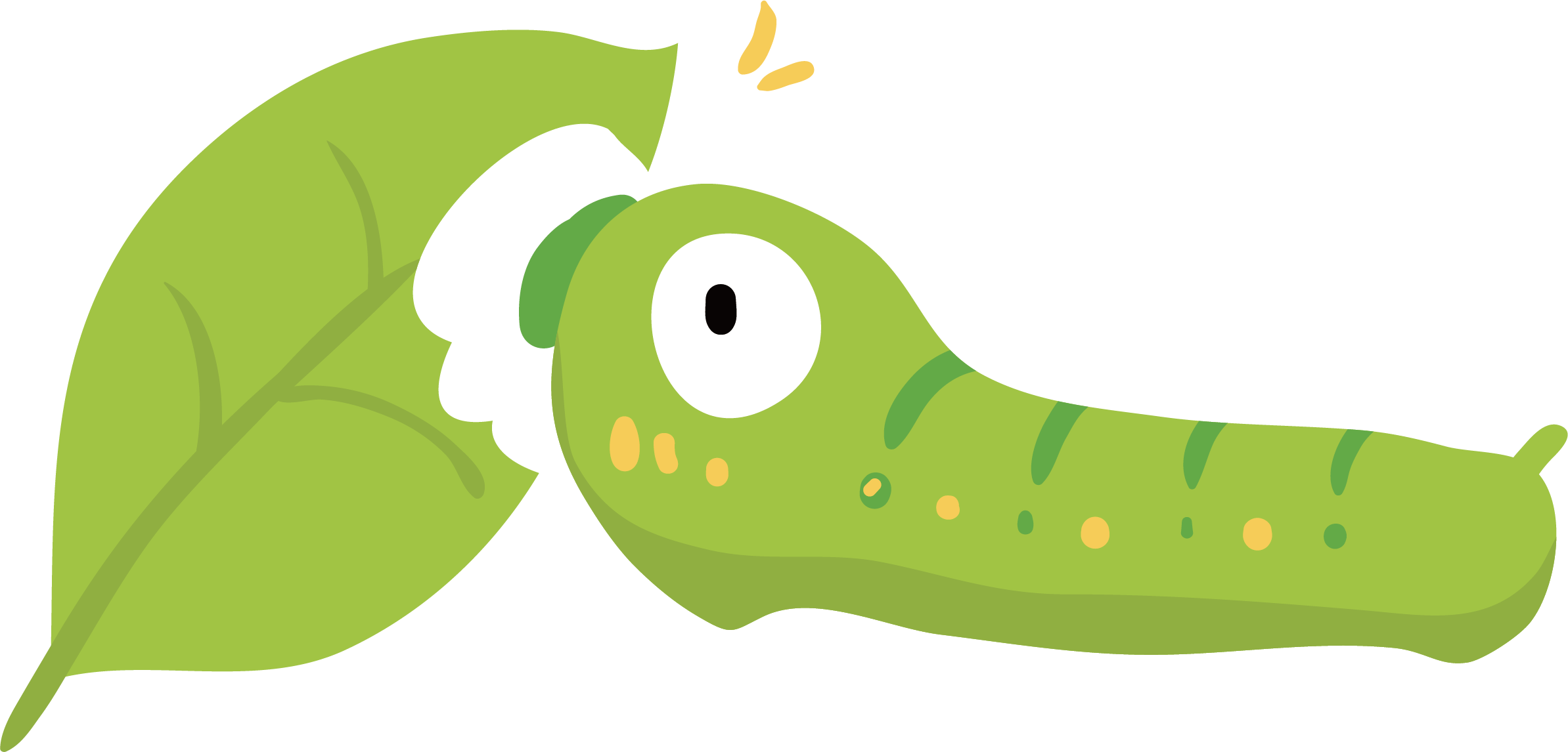 Green Insect Illustration - Vector Graphics (2387x1146)