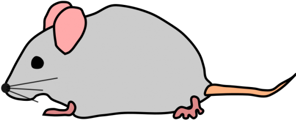 Mouse Clipart Transparent Background - Clip Art Cute Mice (640x480)