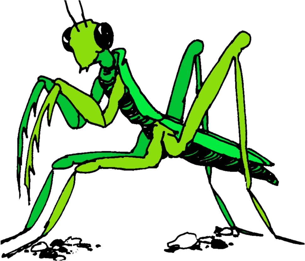 Praying Mantis Clipart Stick Insect - Praying Mantis Clip Art (992x849)