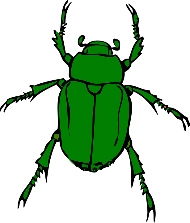 Insect Cliparts 23, Buy Clip Art - Beetle Bug (615x720)